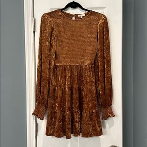 Brown Velvet Long Sleeve Dress